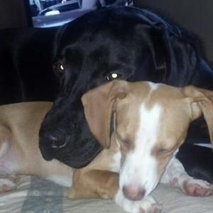 Meet your Posher, Jodi